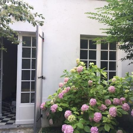 Charmante Maisonnette Jardin Triangle D'Or Bordeaux Dış mekan fotoğraf