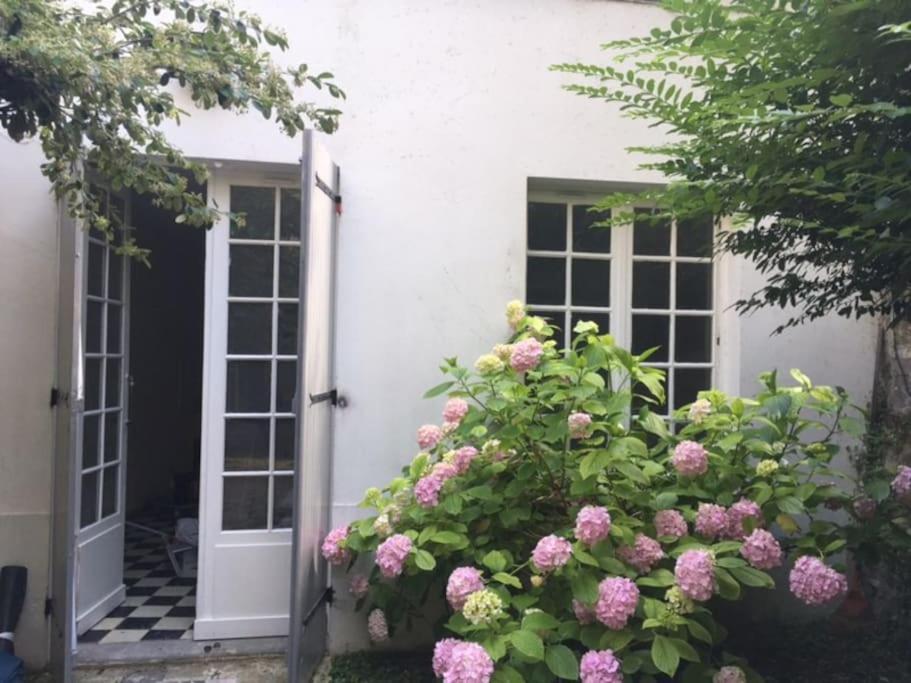Charmante Maisonnette Jardin Triangle D'Or Bordeaux Dış mekan fotoğraf